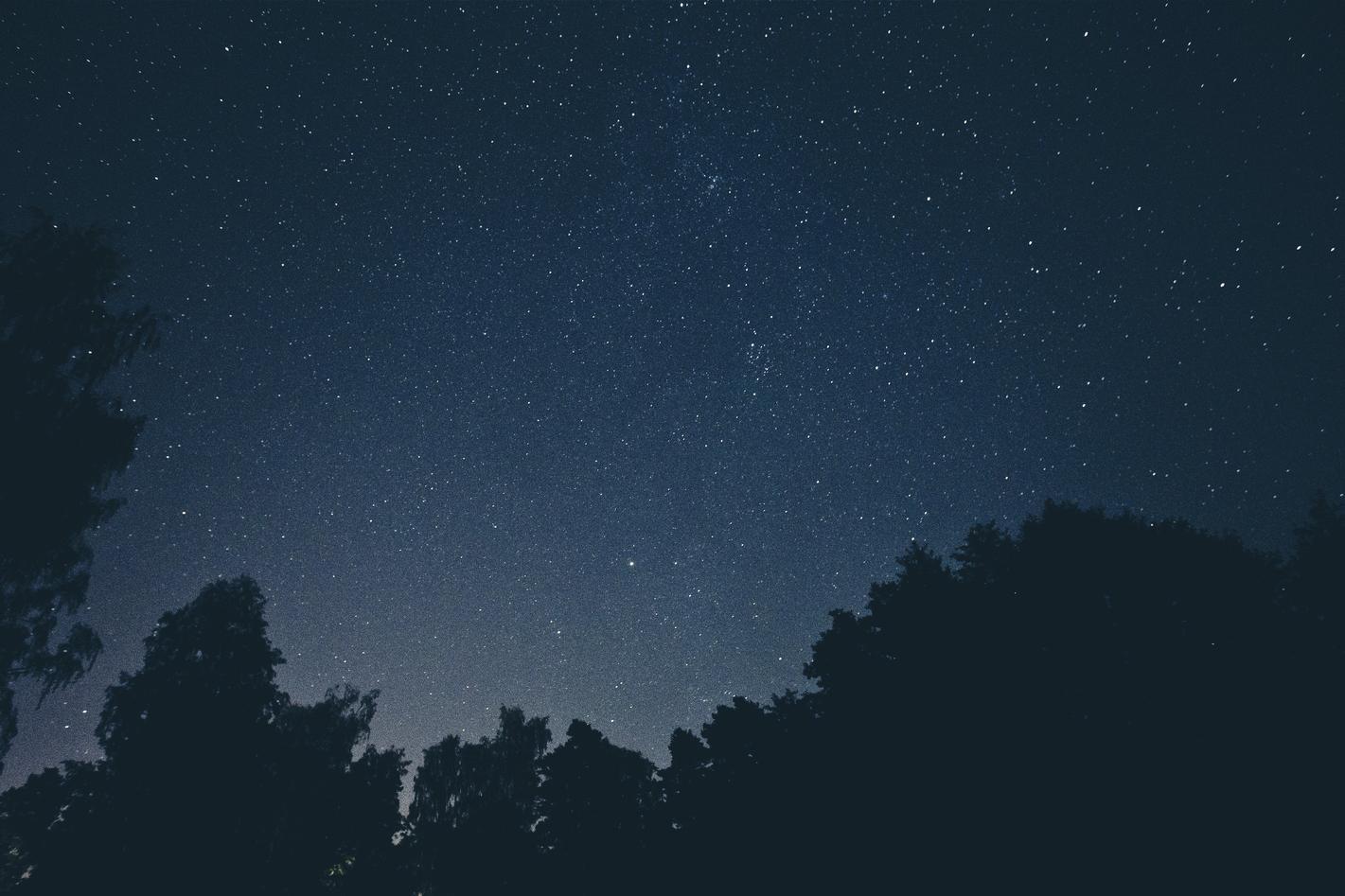 Distinctio aliquid sed voluptatum repellat deserunt est