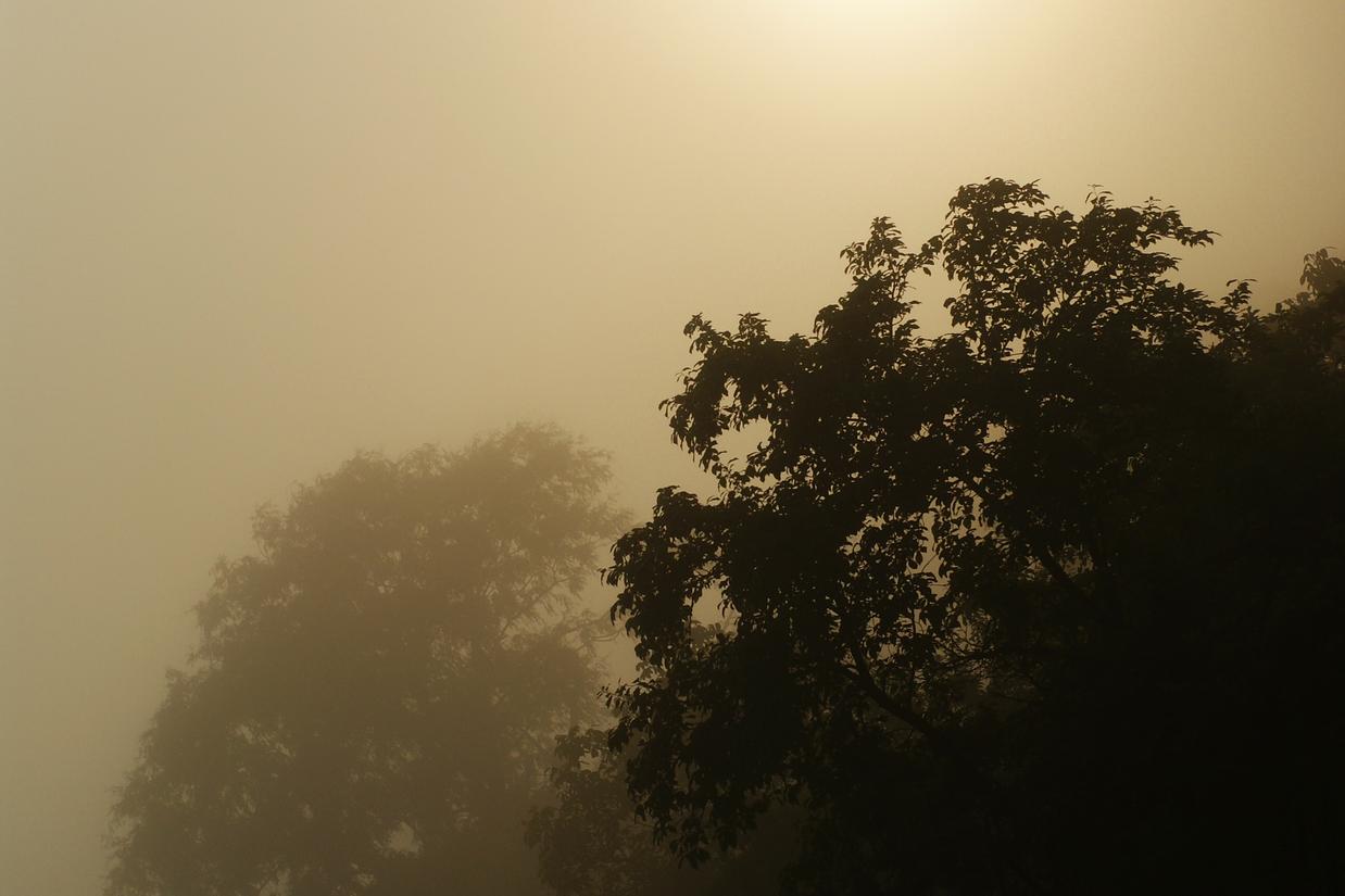 Occaecati nobis iusto est cumque vel veritatis soluta