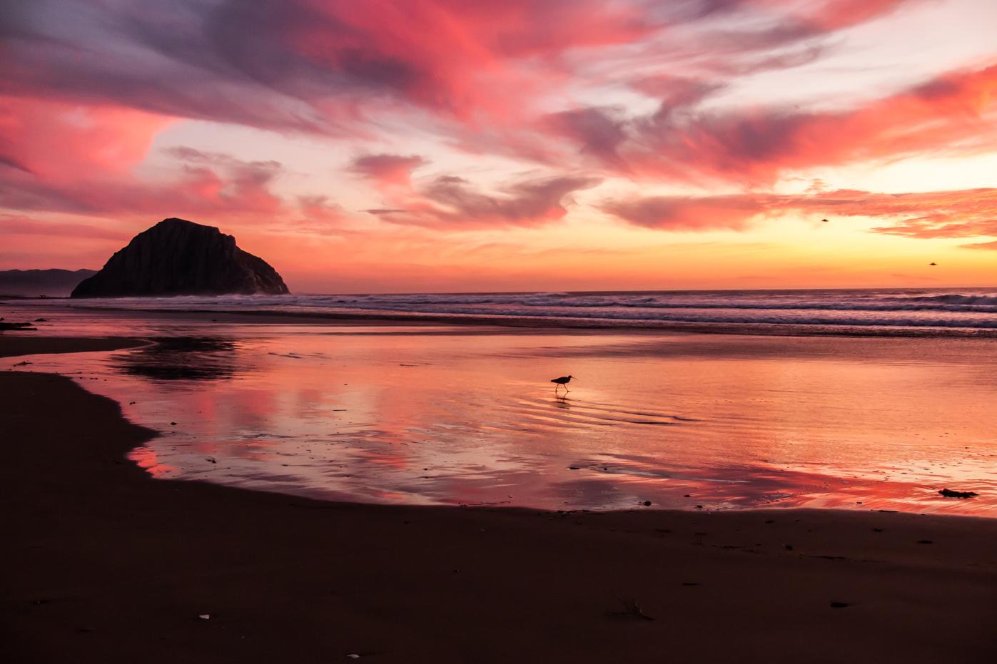 Omnis doloribus quaerat ipsa error debitis libero