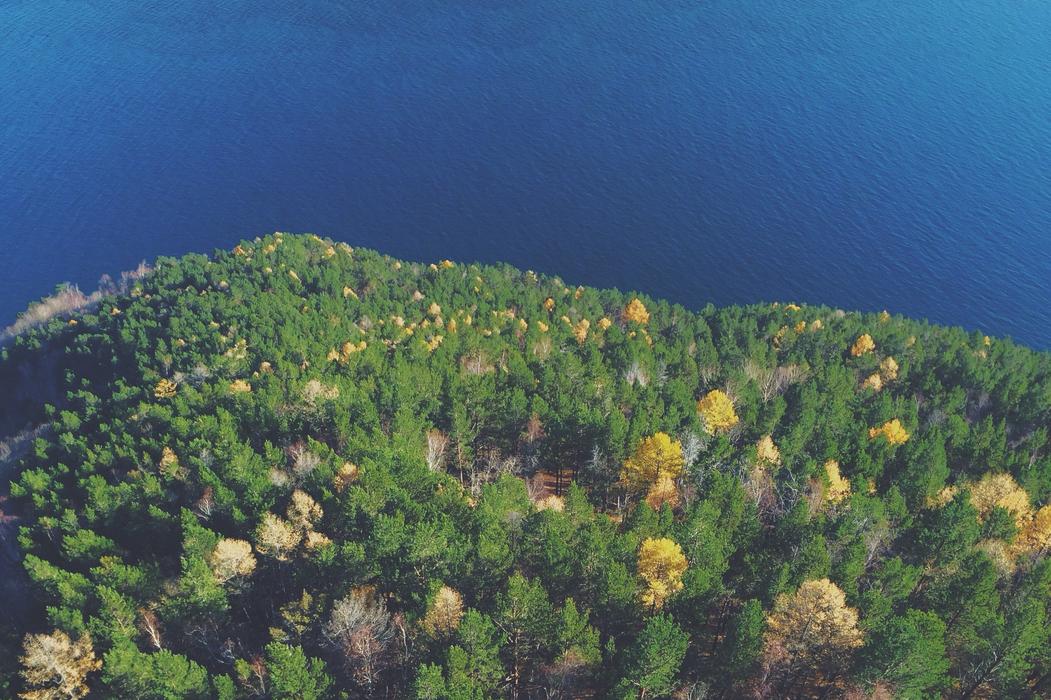 Ipsam voluptatem neque et tempora nihil dolores