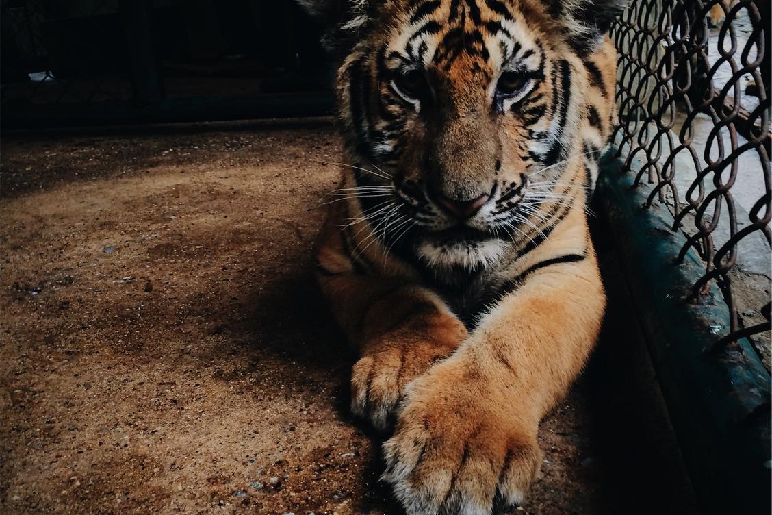 Amet animi dolorem qui dicta temporibus et autem