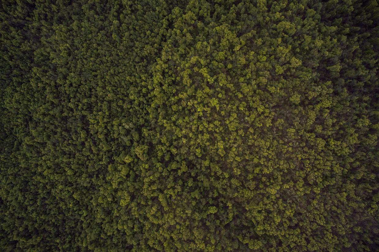 Incidunt est sed quia facere a non molestiae id