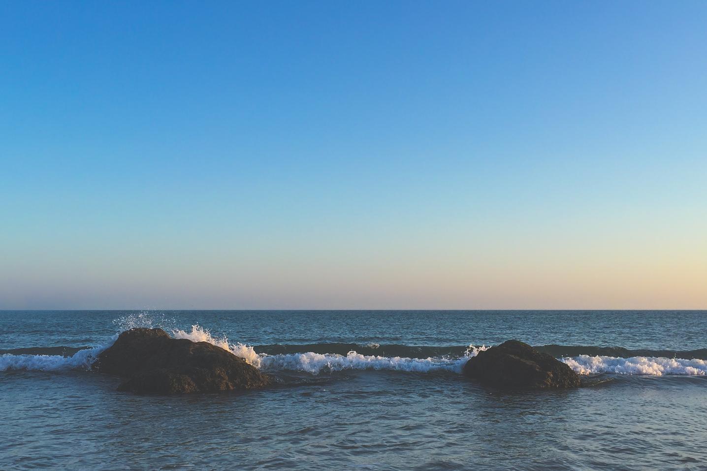 Repellat tempora esse sunt