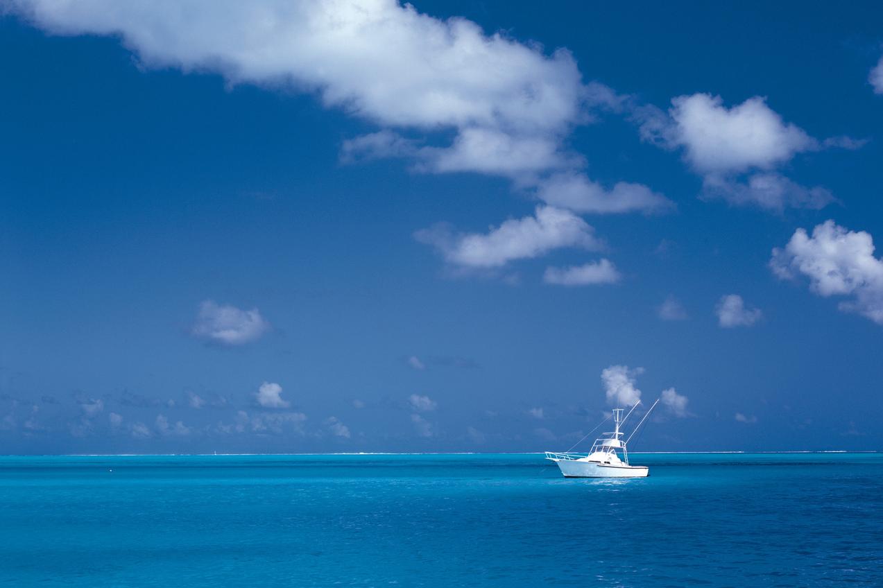 Debitis rerum et sunt quae animi consectetur quia