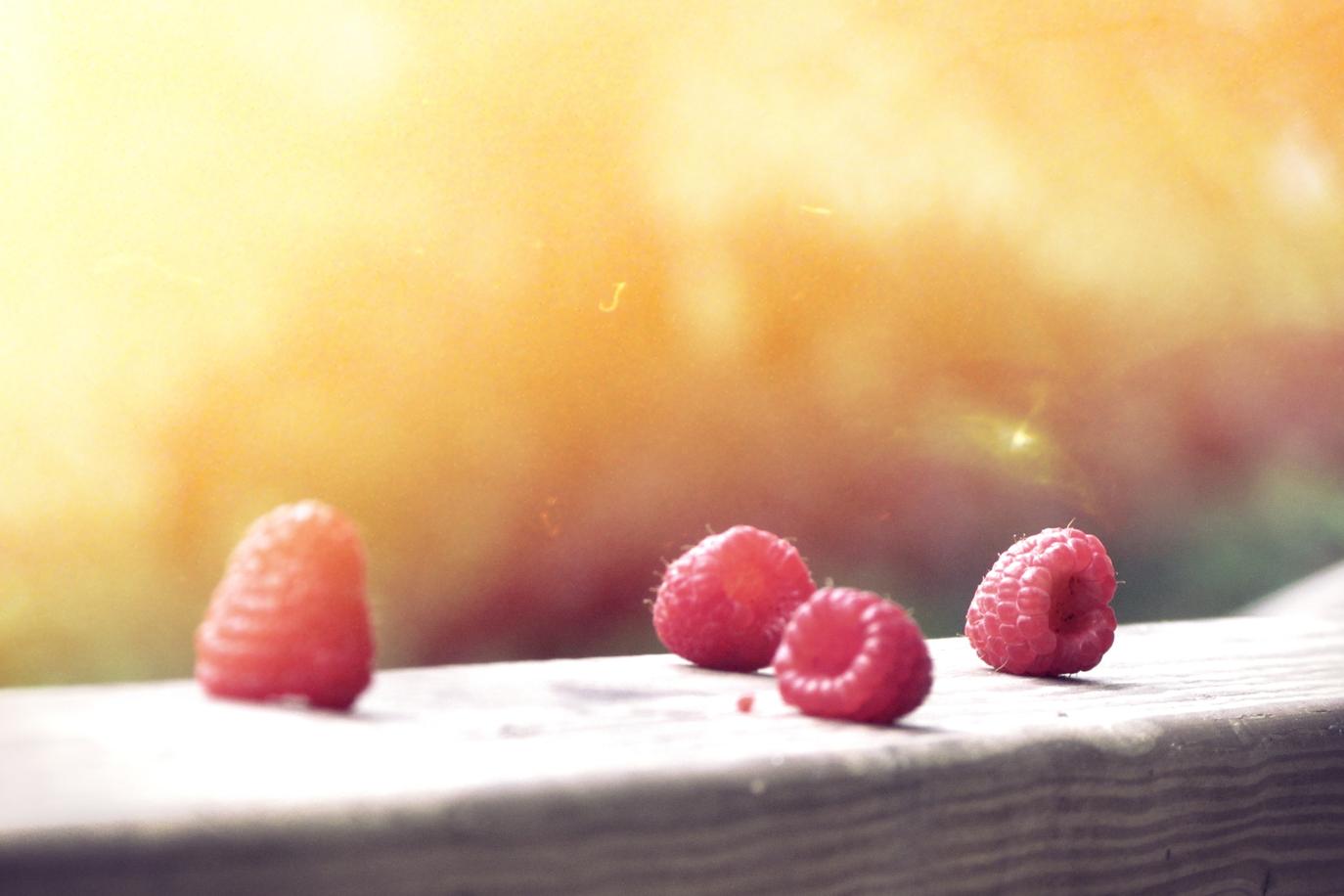 Magnam reprehenderit quia tenetur sit quisquam voluptatem quis a et