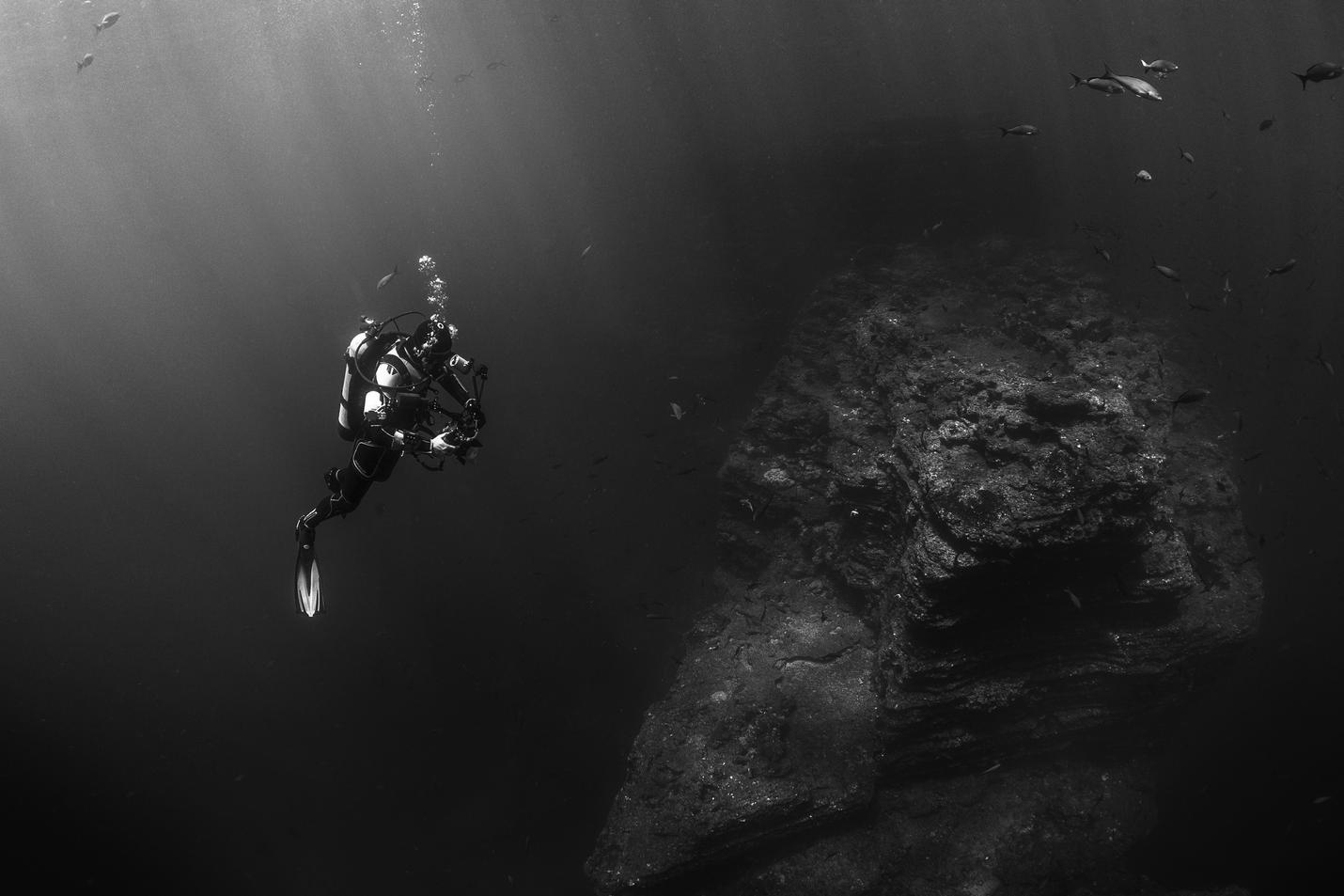 Ipsa adipisci consectetur consequatur dignissimos