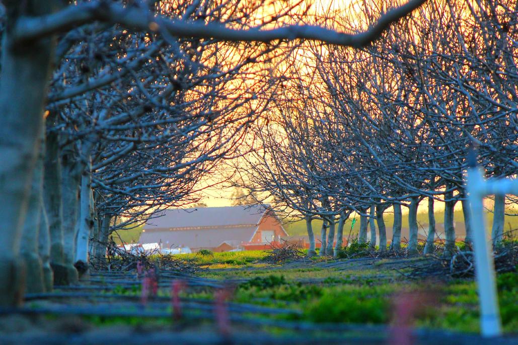 Quod odio optio laudantium qui illo sed quia consequatur voluptates cum